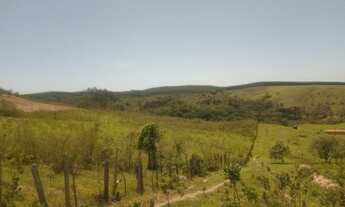 Imagem 4: Terrenos excelentes para chácaras e sítios no interior