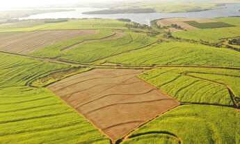 Imagem 3: Sitio 6.78 Alqueires Terra roxa ,sem benfeiturias ,somente área de plantil, topografia pla