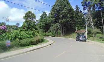 Imagem 4: Terreno Residencial à venda, Santa Terezinha, Canela - TE0723
