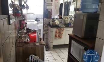 Imagem 7: NATAL - Padrão - Capim Macio