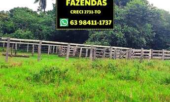 Imagem 3: Fazenda Luzimangues 216 hectares 25 km