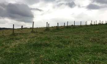 Imagem 4: C03-Lote/Terreno para venda possui 20000 metros quadrados