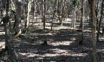Imagem 3: OPORTUNIDADE! Lindo Terreno em Juquitiba, aceita entrada + parcela