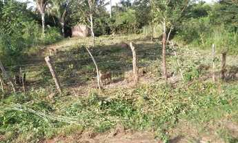 Imagem: 10×30 chapadinha sul 6 mil