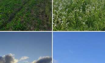 Imagem 2: Garanta já seu lote/terreno direto com o proprietário!