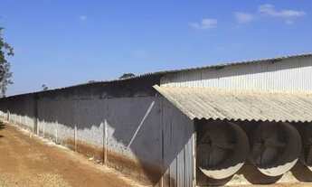 Imagem 4: GRANJA MAIS PROPRIEDÁDE<br><br><br>Fazenda/Sítio/Chácara para venda poss