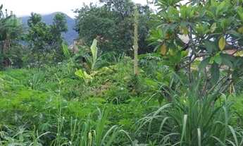 Imagem 4: Lote plano 663m2 em condomínio no centro de Vargem Grande