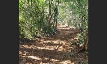 Imagem 4: Lindíssimas Chácaras escrituradas, localizadas em Viamão!