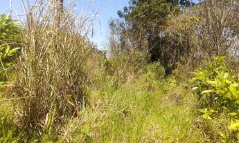 Imagem 2: Vendo Lote/Terreno para venda em Águas de Igaratá - Igaratá - SP