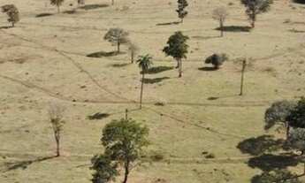Imagem 6: Fazenda Região de Campo Florido
