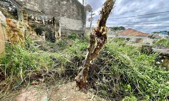 Imagem 3: São Paulo - Casa Padrão - Vila Santa Maria