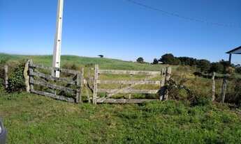 Imagem: Lapa - 50 Alqueires - Plantando 18 alqueires