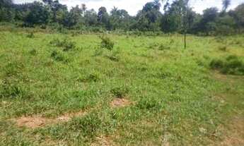 Imagem 2: Chácara 1.800m² 100% plana, toda terra de plantio, Jaboticatubas (Temos varias opções)