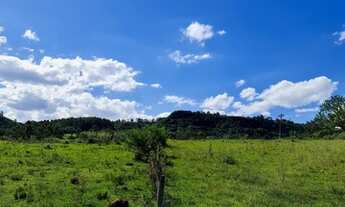 Imagem 2: Fazenda/Sítio/Chácara para venda possui de 5,000m2 a 8,000m2!