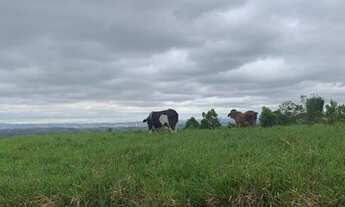 Imagem 5: Lote/Terreno para venda tem 2500 metros quadrados em Loteamento Villa Branca - Jacareí - S