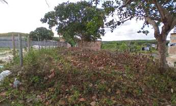 Imagem: TERRENO Á VENDA EM SITIO-NOVO/SUBAUMA