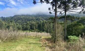 Imagem 2: Chácara para venda em Urubici/SC