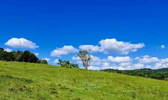 Imagem 3: Fazenda/Sítio/Chácara para venda possui de 5,000m2 a 8,000m2!
