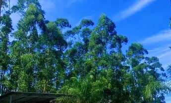 Imagem 3: Lote/Terreno para venda com 600 metros quadrados em Centro - Igaratá - SP