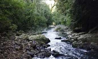 Imagem 5: Imóvel rural em Anitapolis