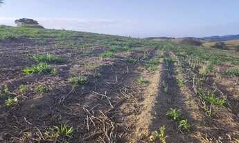 Imagem 9: 48AN-MQBI20 Terreno / lote com venda por R$90.000