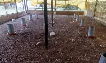 Imagem 6: Vende-se ou troca-se 23 km de Salinas