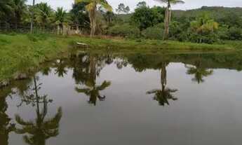 Imagem 2: Fazenda em Pedregulho SP com 50 alqueires a 120 o alqueire