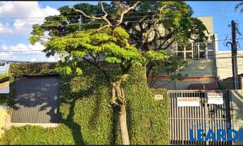 Imagem: GALPÃO - BUTANTÃ - SP