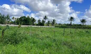 Imagem 3: Terreno no Sapé, Itaporanga d?Ajuda