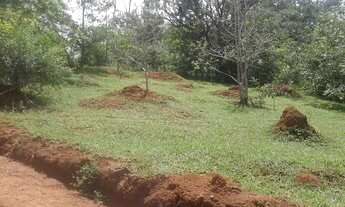 Imagem 4: Terreno no encontro das águas, esmeraldas