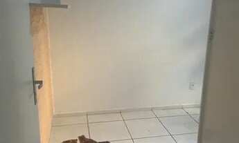 Imagem 4: Alugo Ap 4 andar Santíssimo