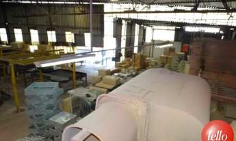 Imagem 6: São Paulo - Galpão/Depósito/Armazém - Vila Formosa