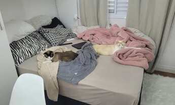 Imagem 3: Lindo imóvel no Condomínio das Palmeiras em Jacareí