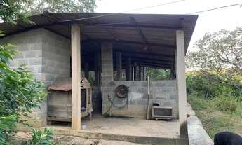 Imagem 6: Grande oportunidade fazendinha de 22 hectares completa