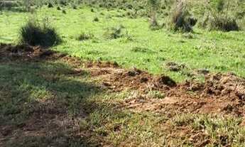 Imagem 6: Terreno para chácara na planta