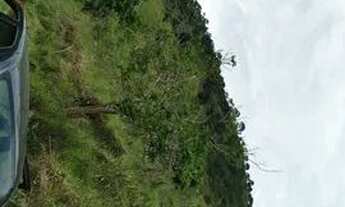 Imagem 5: Sítio 13,5 alqueires