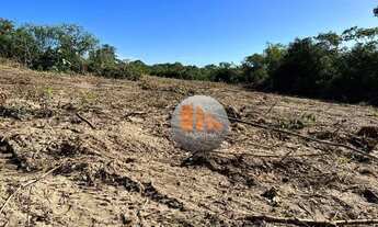 Imagem 4: Fazenda com 2 dormitórios à venda, 750200 m² por R$ 2.700.000,00 - Zona Rural - Paraúna/GO