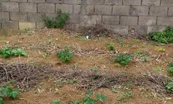Imagem 6: Lote/Terreno para venda com 276 metros quadrados em Bosque dos Eucaliptos - São José dos C