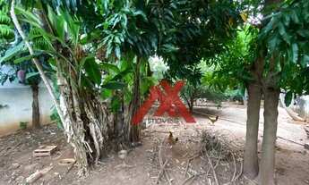 Imagem 6: CASA VENDA 2 Dorm. / Sala / Quintal / 90 m² - Pq. Industrial - SJRP/SP