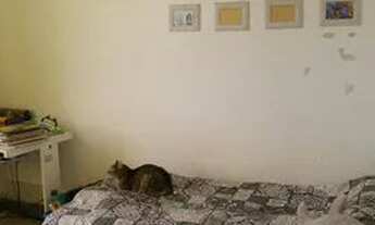 Imagem 2: Apartamento para venda possui 51 metros quadrados com 2 quartos