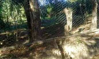 Imagem 5: Vende-se terreno $30.000 Jurupará/Piedade