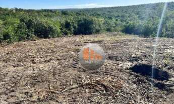 Imagem 3: Fazenda com 2 dormitórios à venda, 750200 m² por R$ 2.700.000,00 - Zona Rural - Paraúna/GO