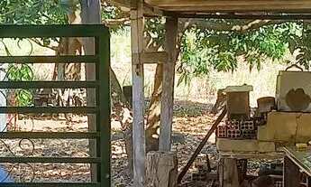 Imagem 4: Sítio Bacana Chácara com venda por R$60.000