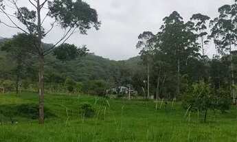 Imagem 7: SÍTIO COM EXCELENTE METRAGEM NO CATÉS EM CAMBORIÚ