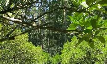 Imagem 4: Vendo sítio com casa, piscina, pomar e campo de futebol