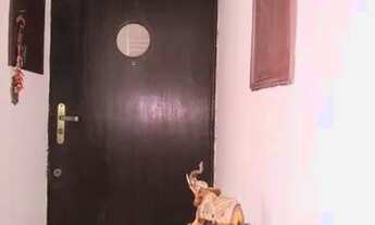 Imagem 5: APARTAMENTO DE 2 DORMITÓRIOS NA REGIÃO DE SANTA CECILIA