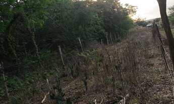 Imagem 6: Casa/terreno Terreno / lote com venda por R$20.000