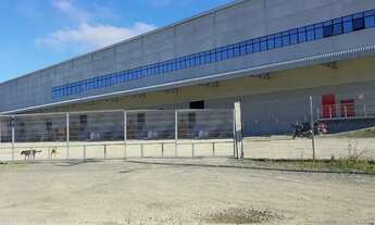 Imagem 2: Armazém Disponivel - 5.250 metros - Boa frente - 6 docas