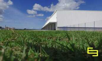 Imagem 3: Galpão para alugar Dias Dávila BA