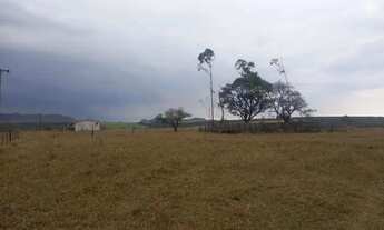 Imagem 4: Sítio bom para café ,abacate ,grãos